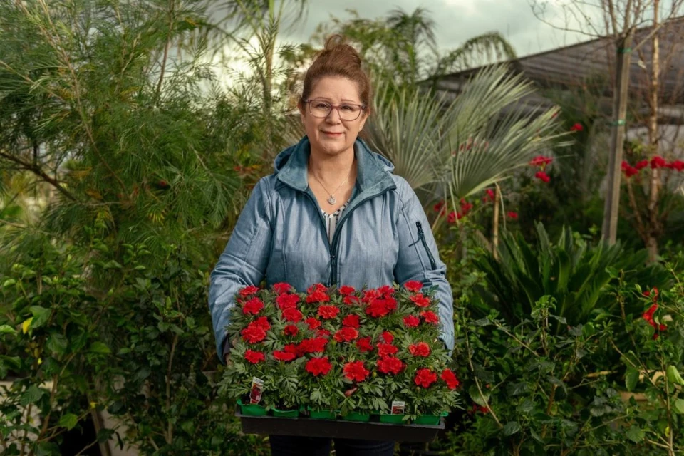 Woman holding tray of red geraniums in a lush garden center, surrounded by greenery and plants in a bright, outdoor setting.